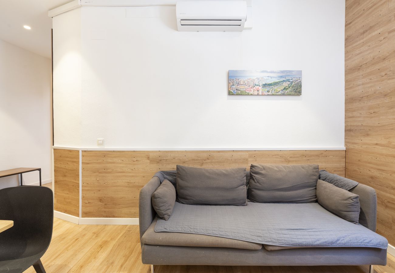 Apartment in Málaga - Central Malaga 2 Bedroom 